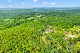 8455 Hooks Rd, Bay Minette, AL 36507 - Photo 74