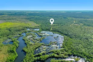 34130 Alligator Bayou Rd, Lillian, AL 36549 - Photo 58