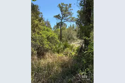 0 Shoalwater Drive, Orange Beach, AL 36561 - Photo 6