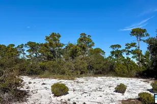 0 River Rd, Orange Beach, AL 36561 - Photo 1