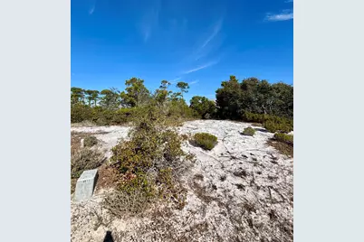 0 River Road, Orange Beach, AL 36561 - Photo 2