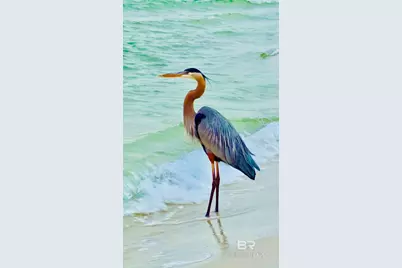 22 Via Deluna Drive #304, Pensacola Beach, FL 32561 - Photo 52