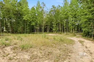 29146 County Rd 68 Ext, Robertsdale, AL 36567 - Photo 50