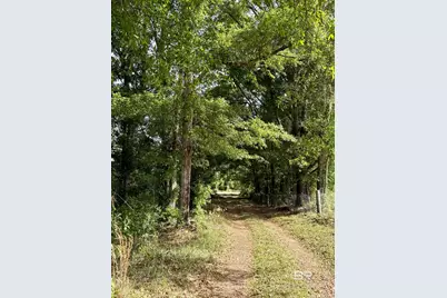 19160 County Road 68, Robertsdale, AL 36567 - Photo 1