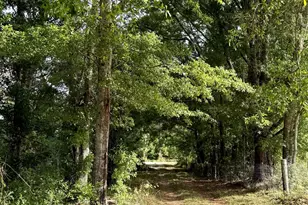 19160 Co Rd 68, Robertsdale, AL 36567 - Photo 1