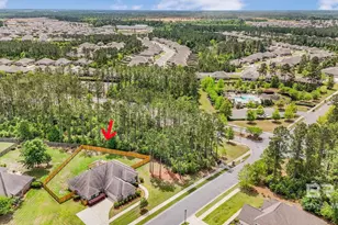 31806 Bobwhite Rd, Spanish Fort, AL 36527 - Photo 46
