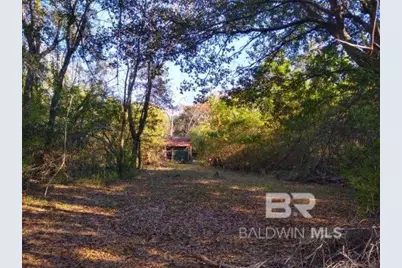 0 New Era Road, Fairhope, AL 36532 - Photo 6