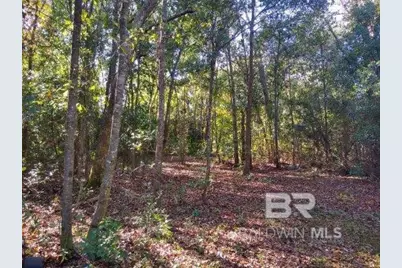 0 New Era Road, Fairhope, AL 36532 - Photo 4