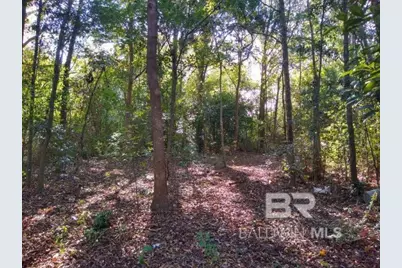 0 New Era Road, Fairhope, AL 36532 - Photo 12