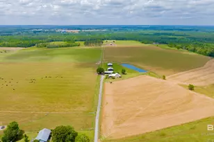 24795A County Road 32, Elberta, AL 36530 - Photo 36