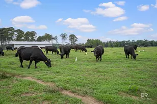24795A County Road 32, Elberta, AL 36530 - Photo 66