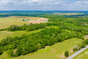 24795A County Road 32, Elberta, AL 36530 - Photo 40