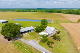 24795A County Road 32, Elberta, AL 36530 - Photo 28