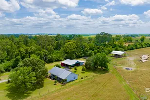 24795A County Road 32, Elberta, AL 36530 - Photo 62