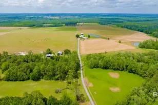 24795A County Road 32, Elberta, AL 36530 - Photo 38