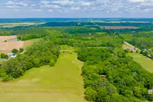 24795A County Road 32, Elberta, AL 36530 - Photo 42