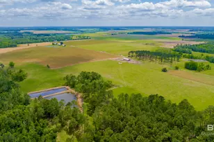 24795A County Road 32, Elberta, AL 36530 - Photo 54