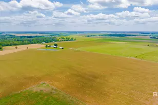 24795A County Road 32, Elberta, AL 36530 - Photo 56