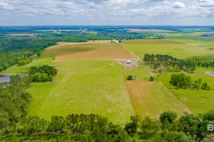 24795A County Road 32, Elberta, AL 36530 - Photo 52