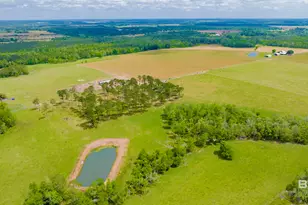 24795A County Road 32, Elberta, AL 36530 - Photo 48