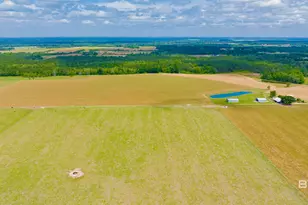 24795A County Road 32, Elberta, AL 36530 - Photo 46