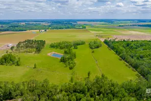24795A County Road 32, Elberta, AL 36530 - Photo 50