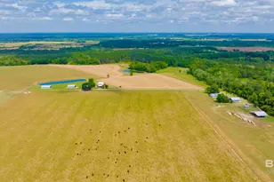 24795A County Road 32, Elberta, AL 36530 - Photo 44
