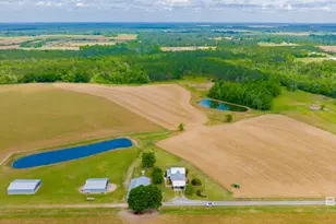 24795A County Road 32, Elberta, AL 36530 - Photo 34
