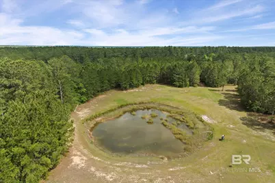 29476 C P Adams Lane, Elberta, AL 36530 - Photo 6