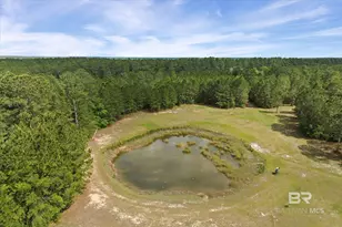 29476 C P Adams Ln, Elberta, AL 36530 - Photo 6