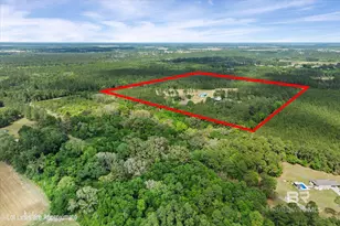 29476 C P Adams Ln, Elberta, AL 36530 - Photo 38
