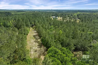 29476 C P Adams Lane, Elberta, AL 36530 - Photo 36