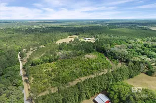 29476 C P Adams Ln, Elberta, AL 36530 - Photo 42