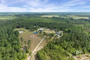 29476 C P Adams Ln, Elberta, AL 36530 - Photo 2
