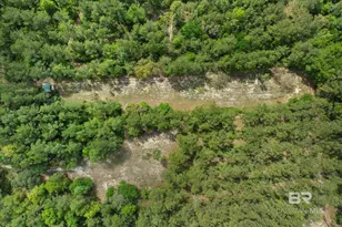 29476 C P Adams Ln, Elberta, AL 36530 - Photo 22