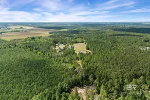 29476 C P Adams Ln, Elberta, AL 36530 - Photo 38