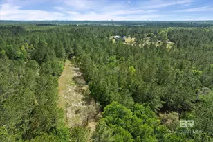 29476 C P Adams Ln, Elberta, AL 36530 - Photo 34