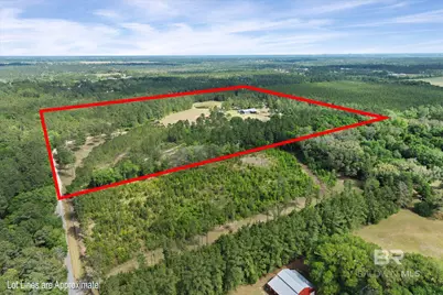 29476 C P Adams Lane, Elberta, AL 36530 - Photo 40