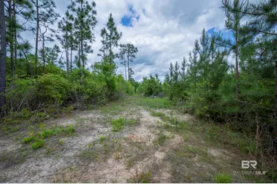 0 Phillipsville Road, Bay Minette, AL 36507 - Photo 22