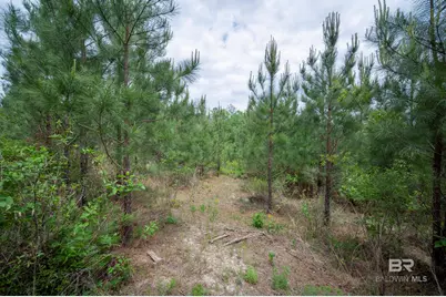 0 Phillipsville Road, Bay Minette, AL 36507 - Photo 18