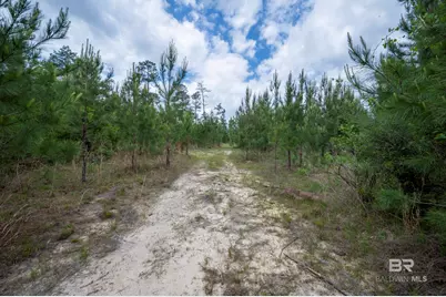 0 Phillipsville Road, Bay Minette, AL 36507 - Photo 24