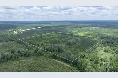 0 Phillipsville Road, Bay Minette, AL 36507 - Photo 2