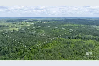 0 Phillipsville Road, Bay Minette, AL 36507 - Photo 8