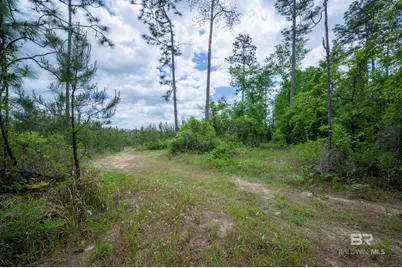 0 Phillipsville Road, Bay Minette, AL 36507 - Photo 14