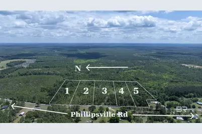 0 Phillipsville Road, Bay Minette, AL 36507 - Photo 6