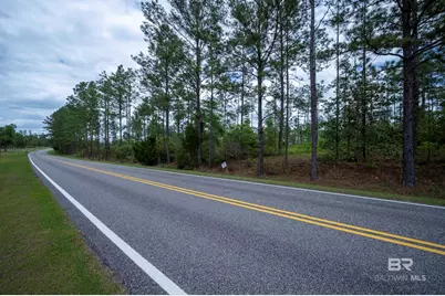 0 Phillipsville Road, Bay Minette, AL 36507 - Photo 16