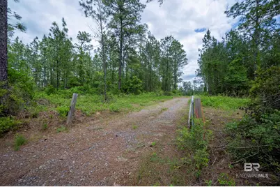0 Phillipsville Road, Bay Minette, AL 36507 - Photo 20