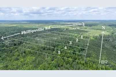 0 Phillipsville Road, Bay Minette, AL 36507 - Photo 2