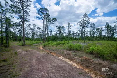 0 Phillipsville Road, Bay Minette, AL 36507 - Photo 18