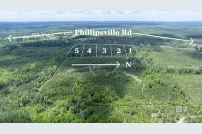 0 Phillipsville Road, Bay Minette, AL 36507 - Photo 10